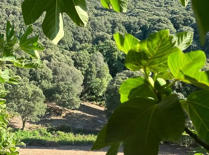 Campana - Σπίτι διακοπών Sartène
