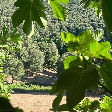 Campana - Σπίτι διακοπών Sartène